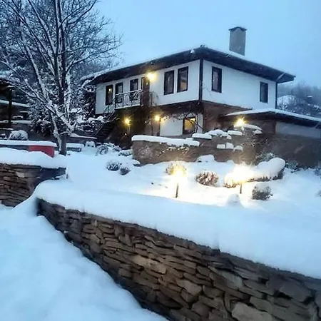 Stone Paths Pensiune Kostenovţi